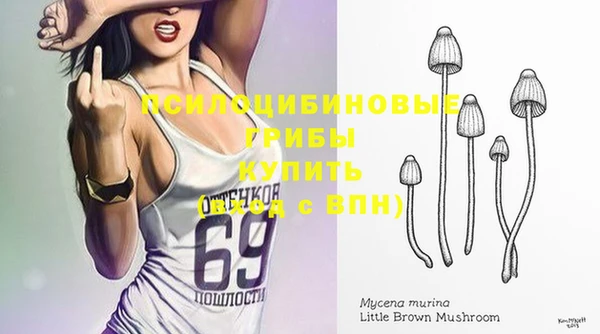 а пвп мука Алзамай