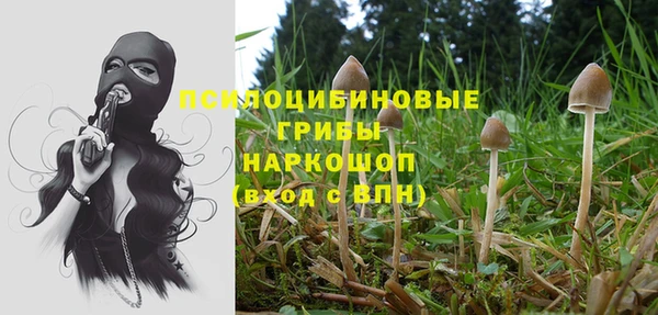 а пвп мука Алзамай