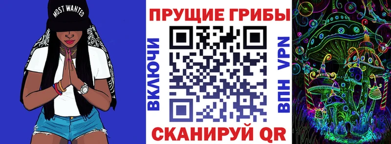 Галлюциногенные грибы мицелий  Павловская 